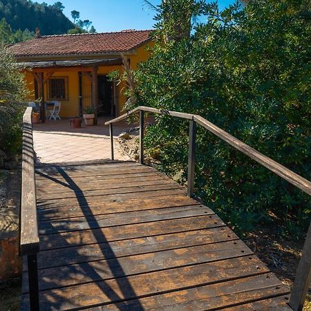 Magical Woods By Fidalsa Villa Simat de la Valldigna Exterior photo